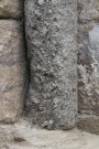 Fossilised Shells in Stone Column, Fountains Abbey